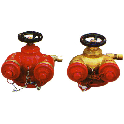 ����ʽˮ�ýӺ���