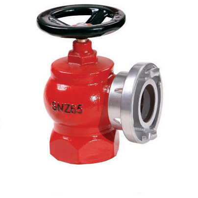 �҃�(n��i)˨